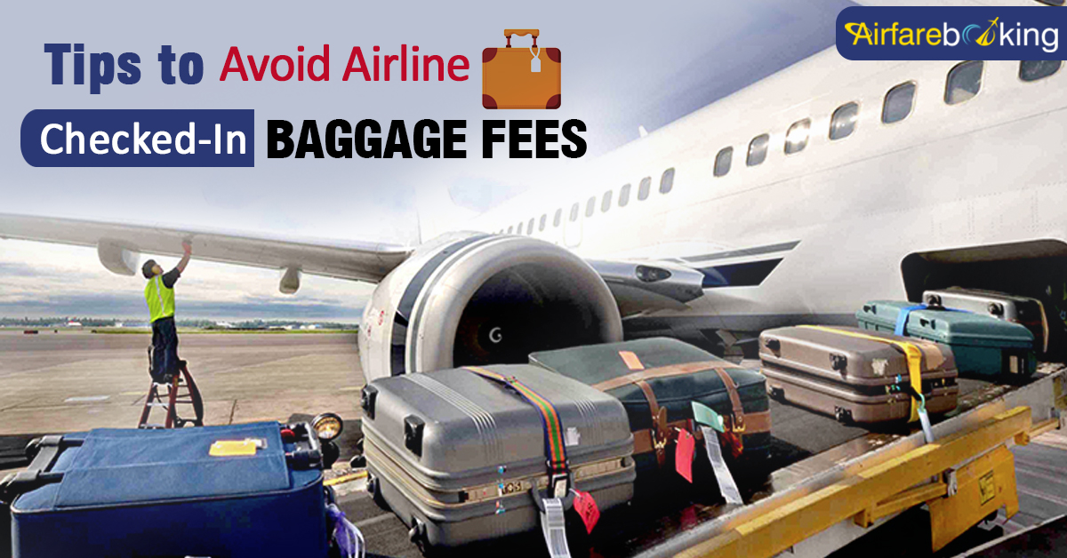 Tips to Avoid Airline CheckedIn Baggage Fees Airfarebooking