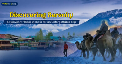 Discovering Serenity 5 Heavenly Places in India for an Unforgettable Trip