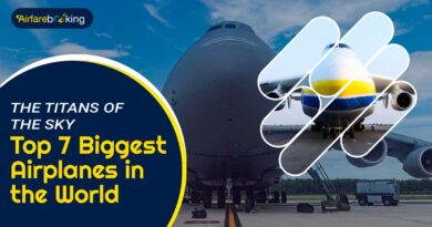 The-Titans-of-the-Sky-Top-7-Biggest-Airplanes-in-the-World