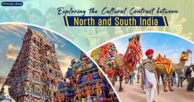 Exploring the Cultural Contrast between North and South India
