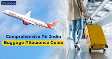 Comprehensive Air India Baggage Allowance Guide