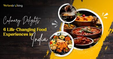 Culinary Delights 6 Life-Changing Food Experiences in India