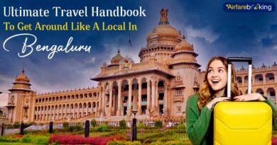 Ultimate Travel Handbook To Get Around Like A Local In Bengaluru