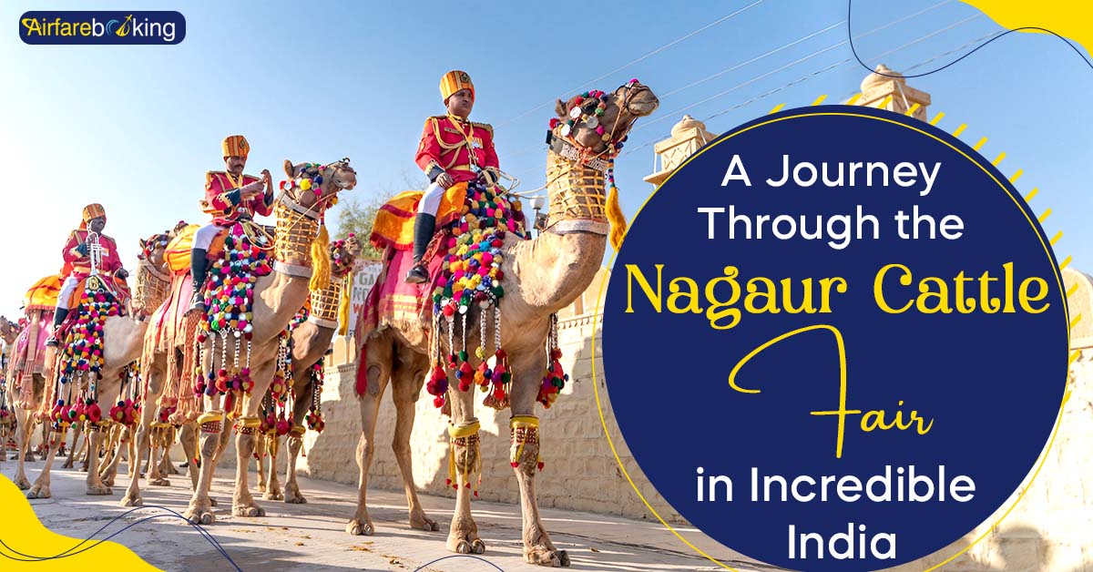 A Journey Through the Nagaur Cattle Fair in Incredible India 2