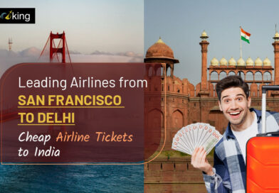 Leading Airlines from San Francisco to Delhi: Cheap Airline Tickets to India