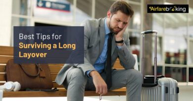 Best Tips for Surviving a Long Layover