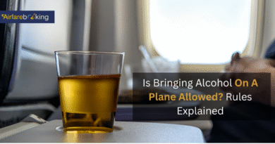 Alcohol-On-A-Plane-Allowed