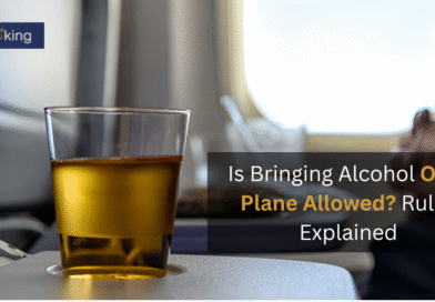 Alcohol-On-A-Plane-Allowed