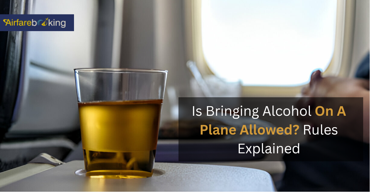 Alcohol-On-A-Plane-Allowed