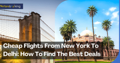 Cheap Flights From New York To Delhi: How To Find The Best Deals