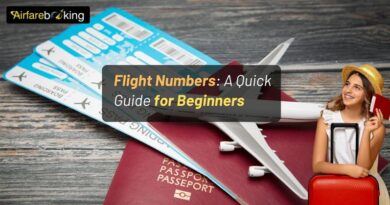 Flight Numbers: A Quick Guide for Beginners