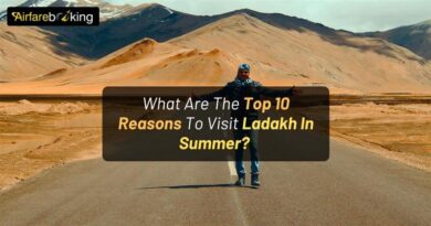 What Are The Top 10 Reasons To Visit Ladakh In Summer?