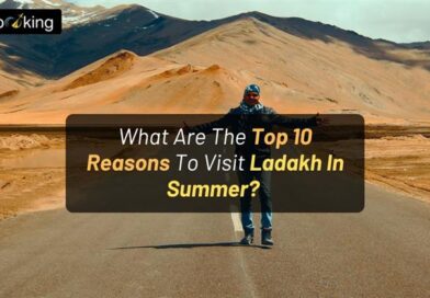 What Are The Top 10 Reasons To Visit Ladakh In Summer?