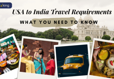 USA to India Travel Requirements: What You Need to Know