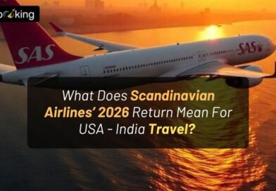 What Does Scandinavian Airlines’ 2026 Return Mean for USA-India Travel?